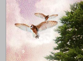 http://temphaa.com/img/tuts/Create-a-Nature-Inspired-Photo-Manipulation/Step13-owl2.jpg
